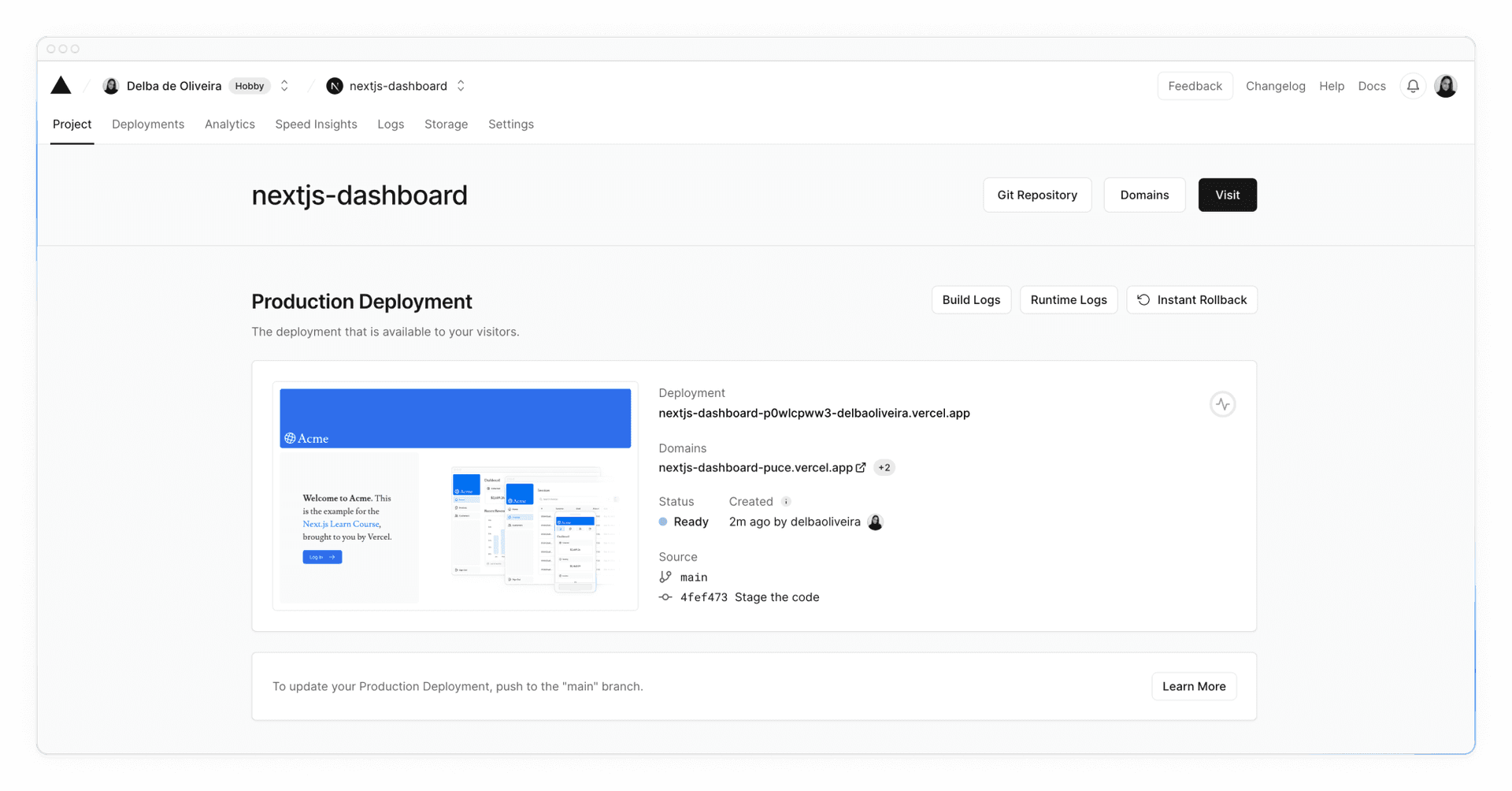 Project overview screen showing the project name, domain, and deployment status